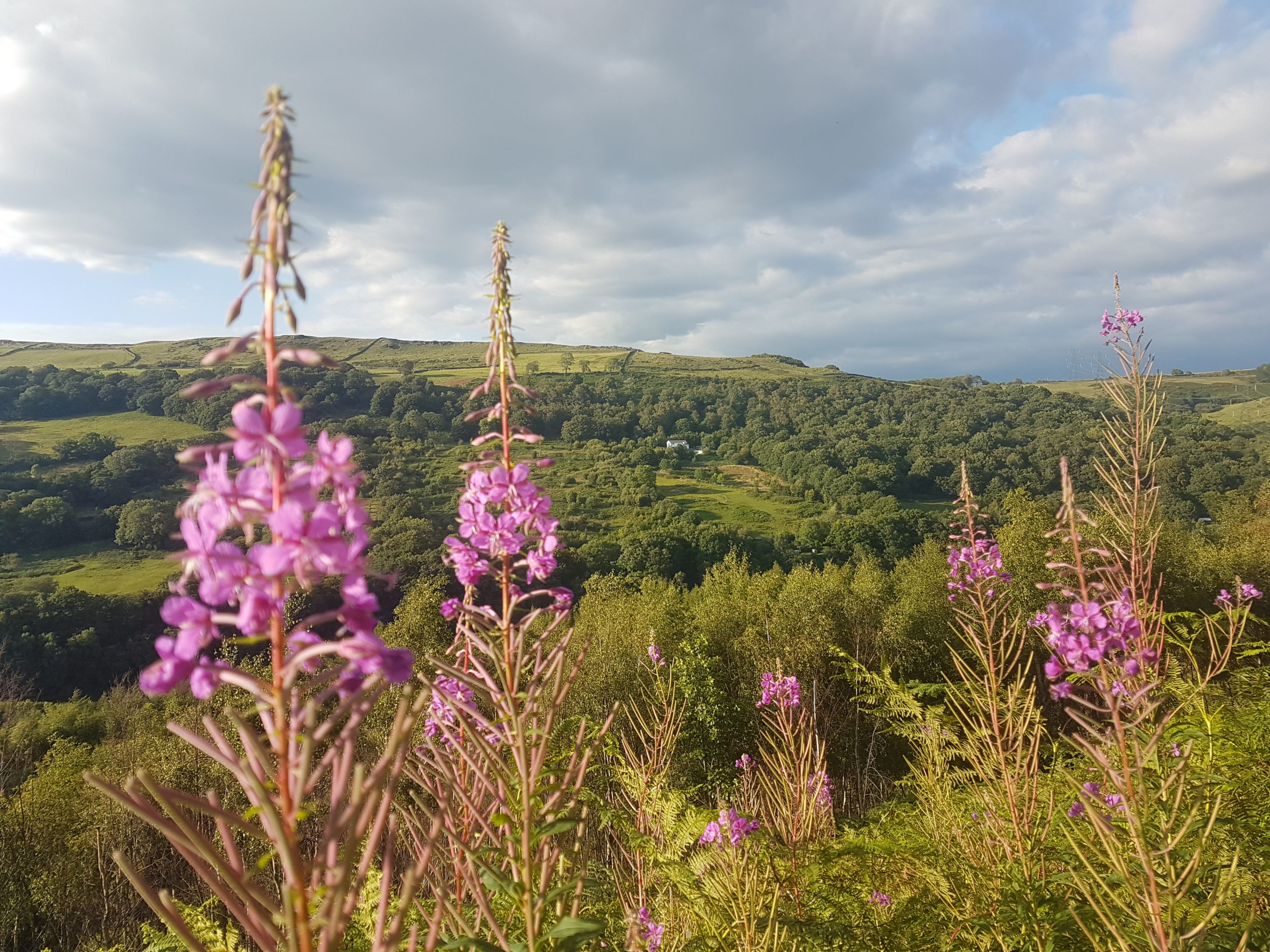 Tir y Ffridd – Land on the Edge of Town