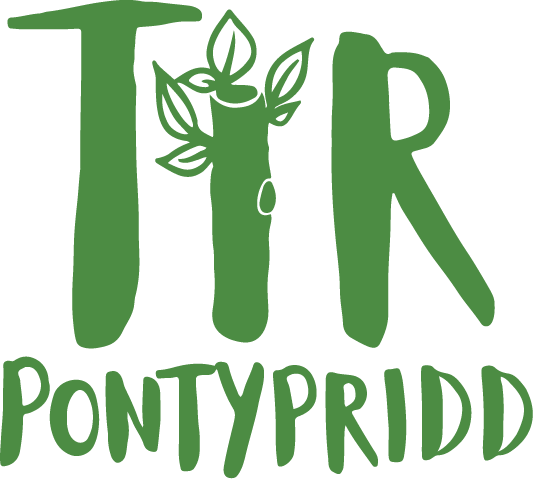 Tir Pontypridd