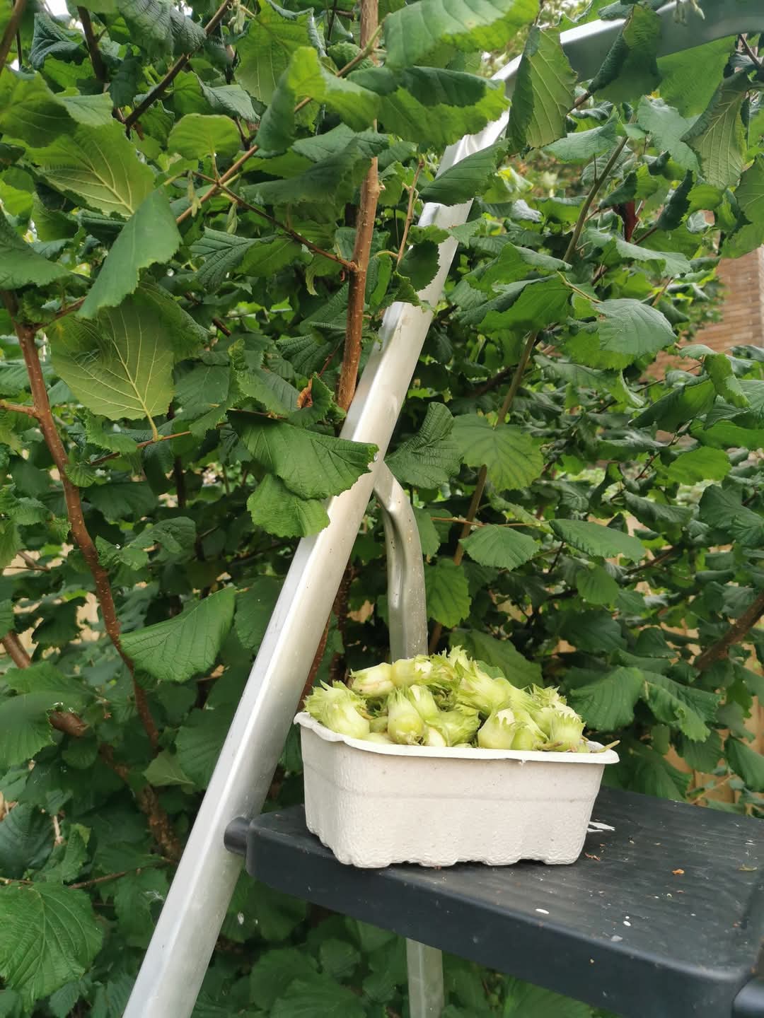 The Importance of seasonal food sharing and preserving.